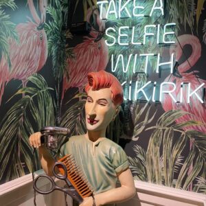 take a selfie cam neon şirin neon